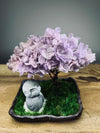 A Small Tree in the East - Sakura - Purple Dream - Journeyman (Preserved Plants)