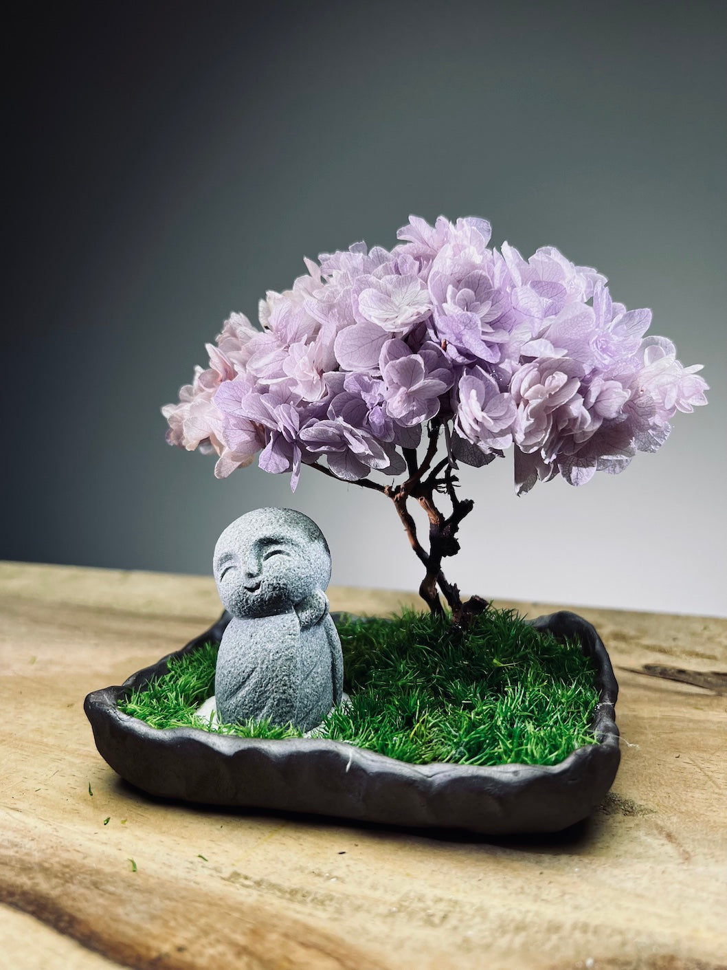 A Small Tree in the East - Sakura - Purple Dream - Journeyman (Preserved Plants)