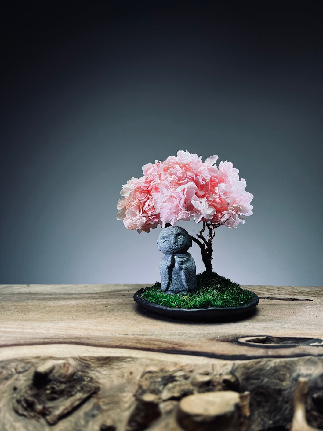 A Small Tree in the East - Sakura - Journeyman (Preserved Plants)