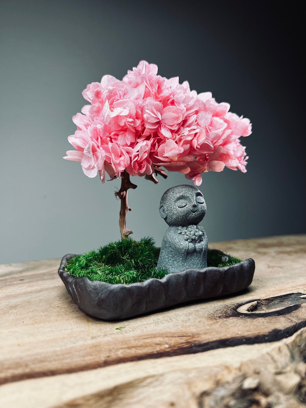 A Small Tree in the East - Sakura - Journeyman (Preserved Plants)