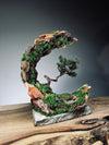 Half-Moon Bay - Crescent - Juniper (Preserved Plants)