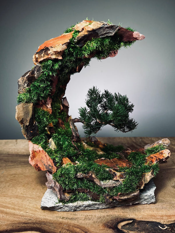 Half-Moon Bay - Crescent - Juniper (Preserved Plants)