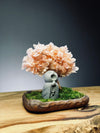 A Small Tree in the East - Sakura - Baby Pink - Journeyman (Preserved Plants)