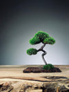 A Small Tree in the East - Classic - Rosewood edition (Preserved Plants)