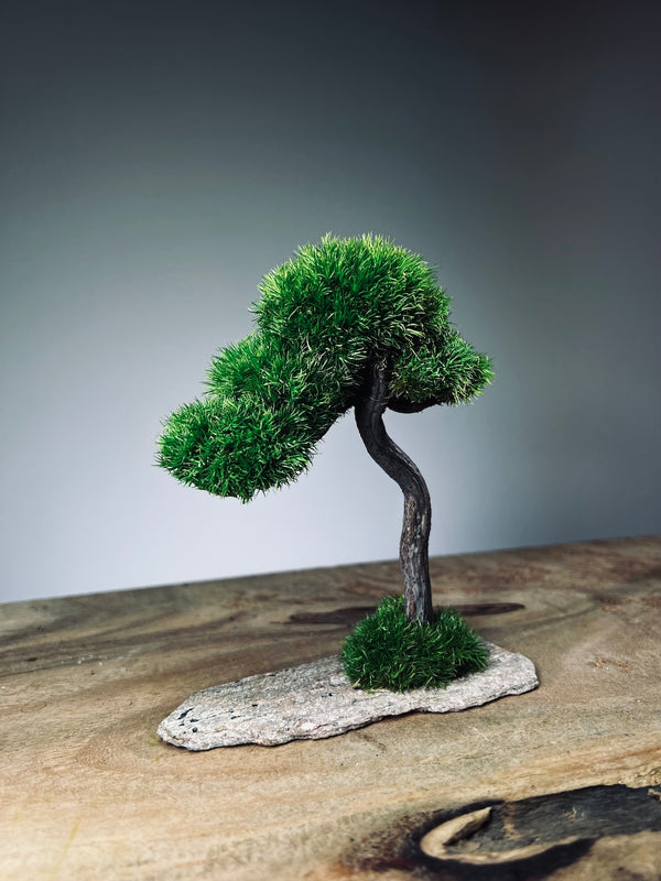 A Small Tree in the East - Classic - Rosewood edition (Preserved Plants)