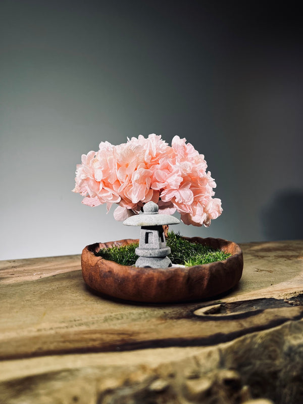 A Small Tree in the East - Sakura - Lantern (Preserved Plants)