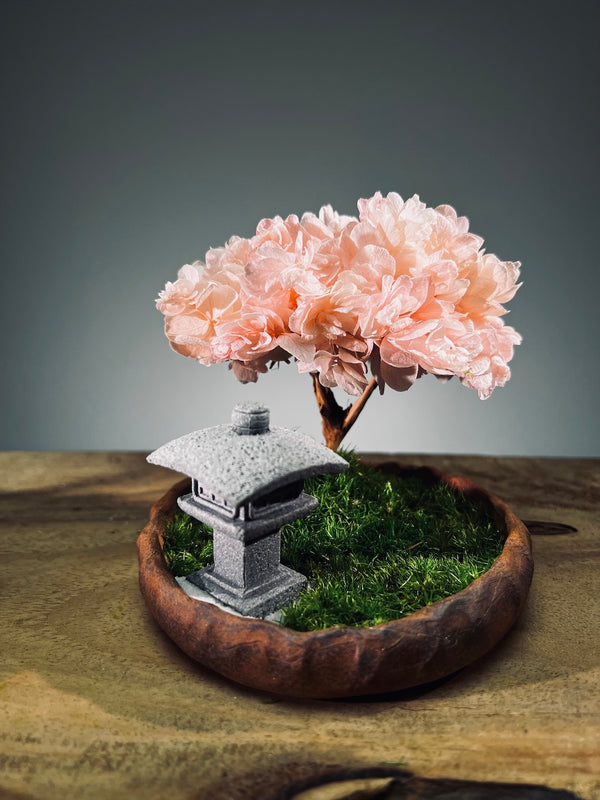 A Small Tree in the East - Sakura - Lantern (Preserved Plants)