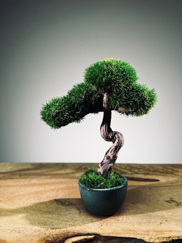 A Small Tree in the East - Classic - Rosewood edition (Preserved Plants)