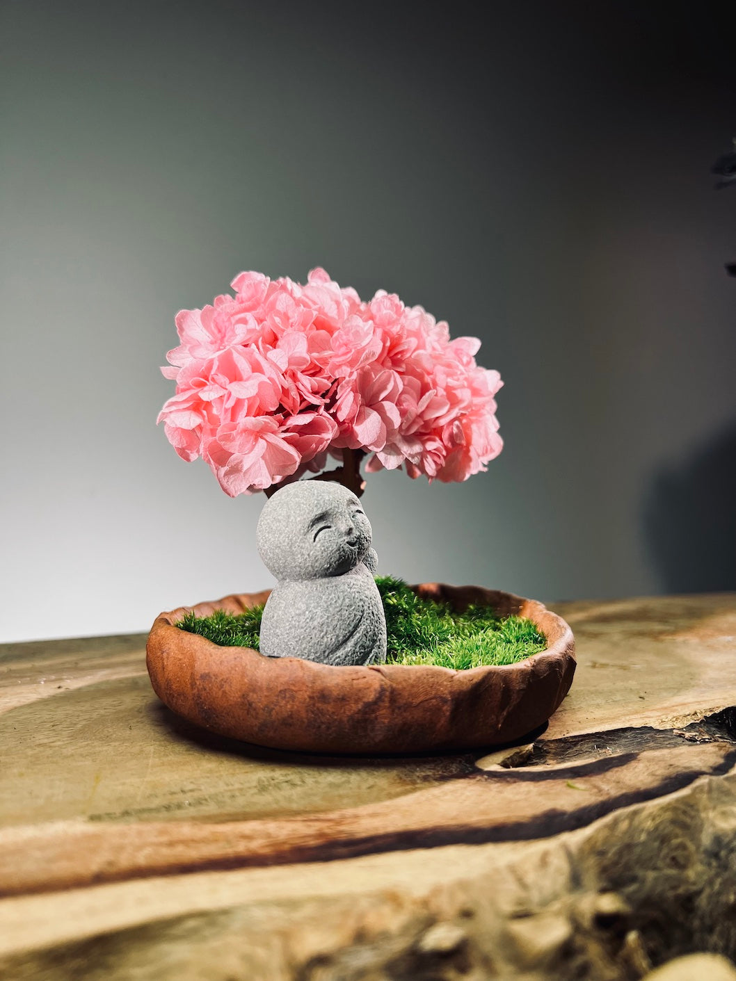 A Small Tree in the East - Sakura - Journeyman (Preserved Plants)