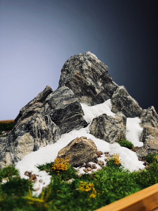 Alpine Meadow - Snowpeak (Preserved Plants)