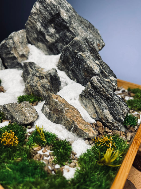 Alpine Meadow - Snowpeak (Preserved Plants)
