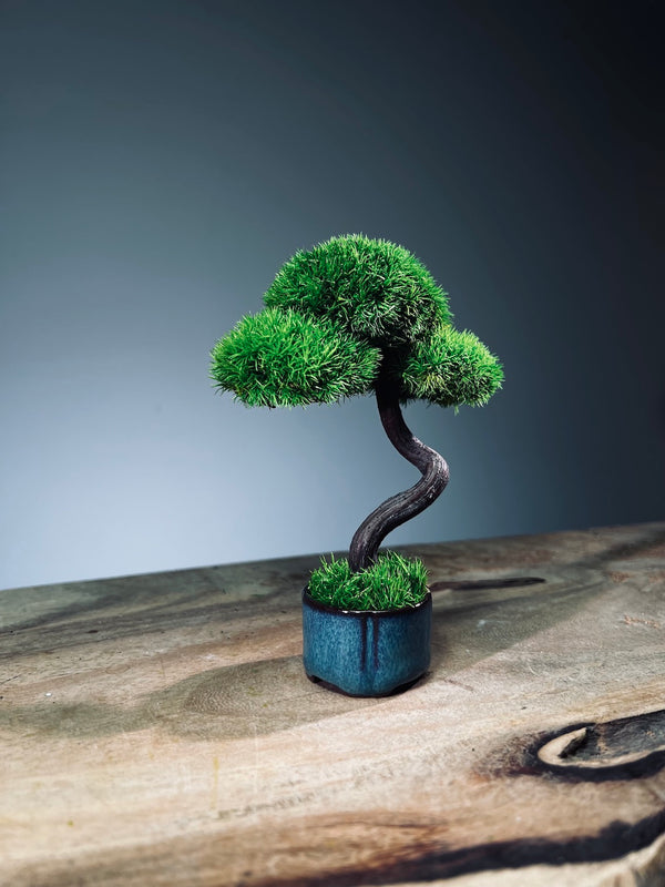 A Small Tree in the East - Classic - Rosewood edition (Preserved Plants)