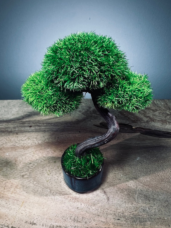 A Small Tree in the East - Classic - Rosewood edition (Preserved Plants)