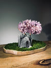 A Small Tree in the East - Sakura - Purple Dream - Trio of Everjoy (Preserved Plants)