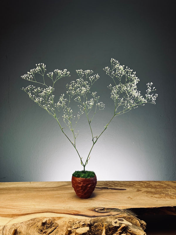 Kindling - Baby's Breath (Preserved Plants)