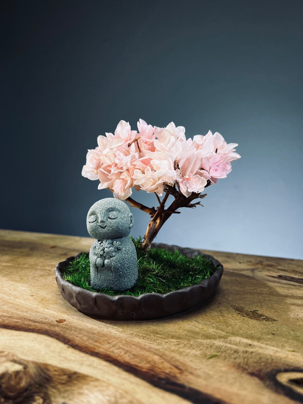 A Small Tree in the East - Sakura - Journeyman (Preserved Plants)