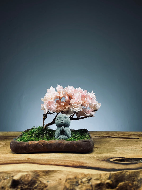 A Small Tree in the East - Sakura - Journeyman in the East (Preserved Plants)