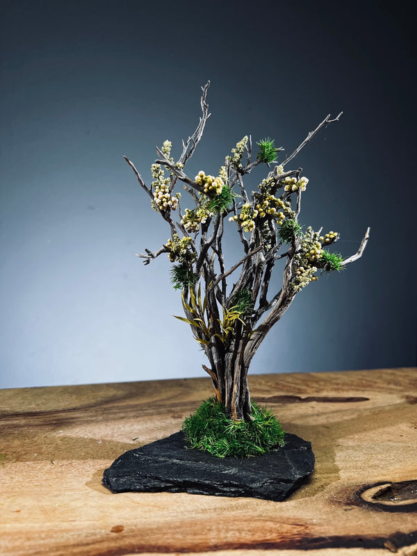 Winter's End - East Wind Moves - Smaller version (Preserved Plants)