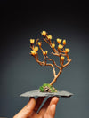 Guided Workshop - Beginner Creative Nature Art - A Small Tree in the East