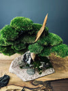 The Windcut Wood - Medium version - Raw (Preserved Plants)