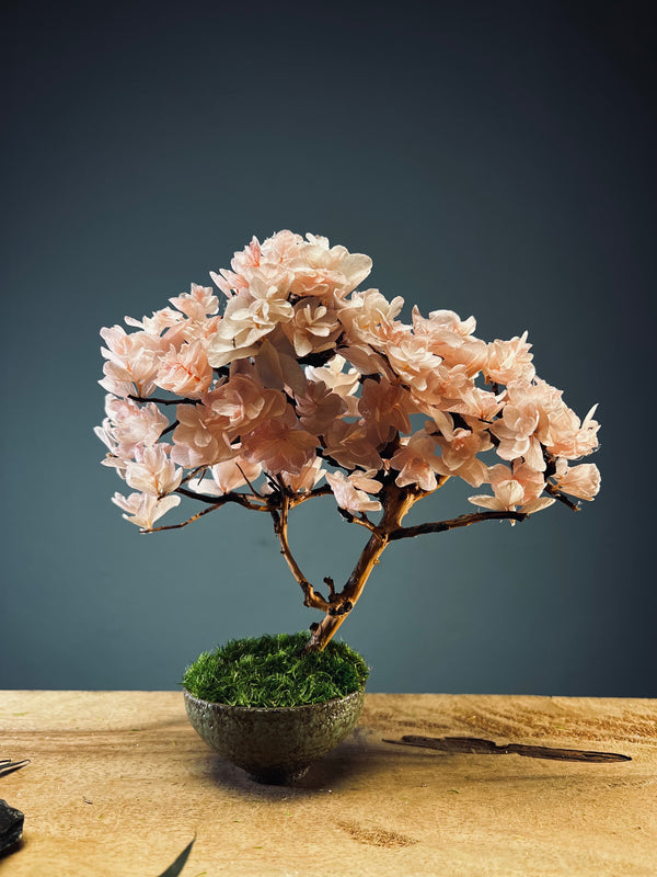 A Small Tree in the East - Sakura - Larger version (Preserved Plants)