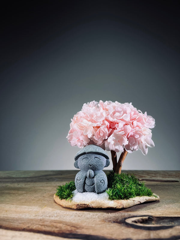 A Small Tree in the East - Sakura - Journeyman - Smaller (Preserved Plants)