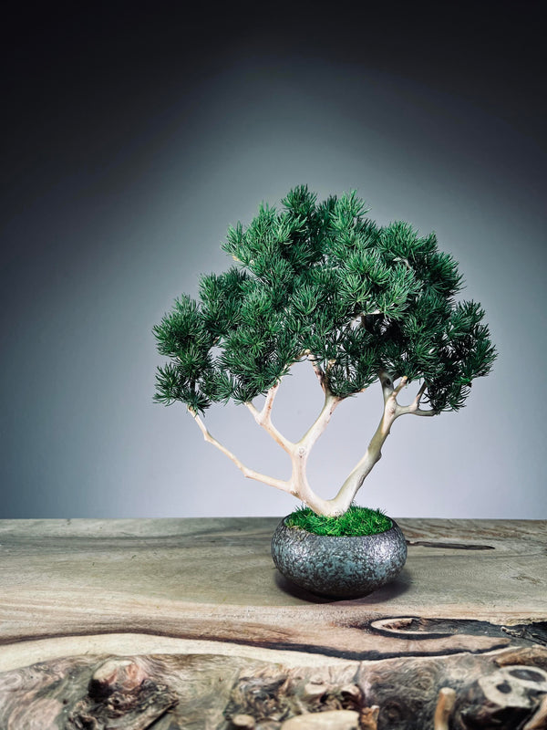 Jade - Pine Needle edition (Preserved Plants)