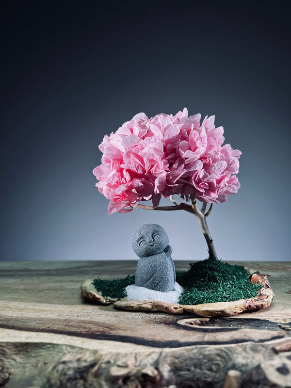 A Small Tree in the East - Sakura - Journeyman (Preserved Plants)