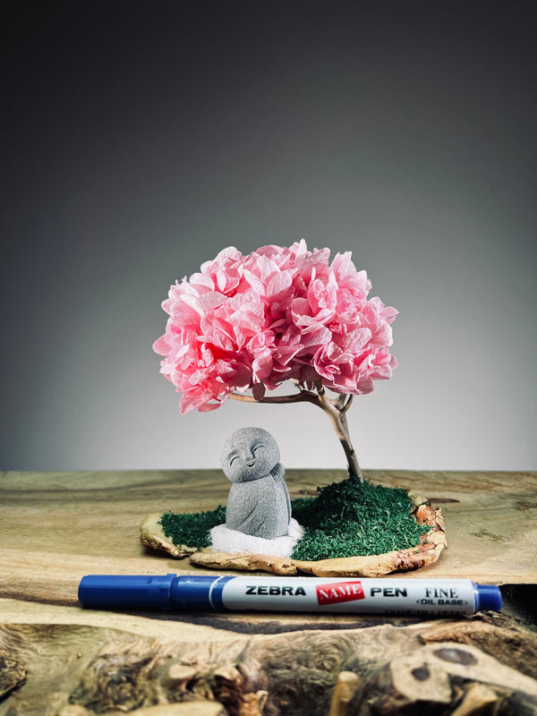 A Small Tree in the East - Sakura - Journeyman (Preserved Plants)