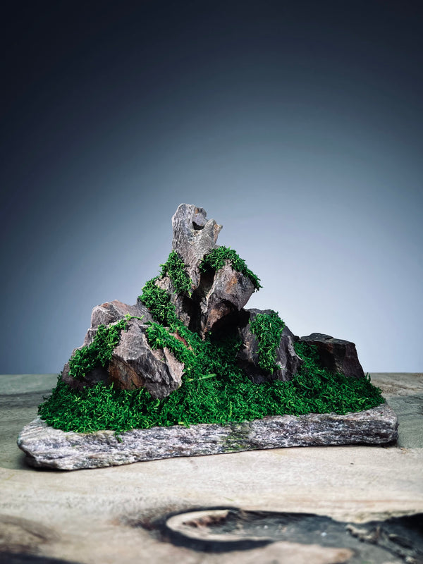 Angel's Landing - Small version (Preserved Plants)