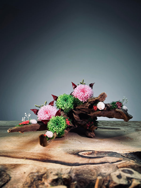 Children of the Forest - Driftwood (Preserved Plants)
