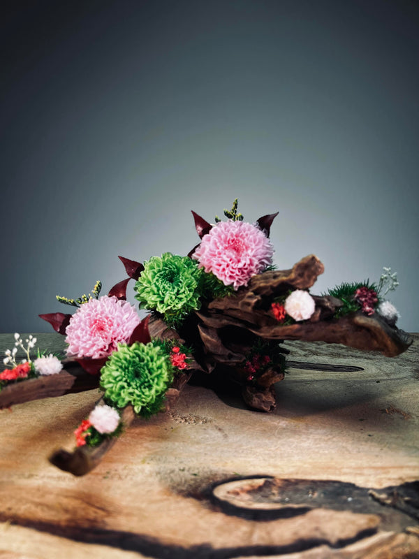 Children of the Forest - Driftwood (Preserved Plants)