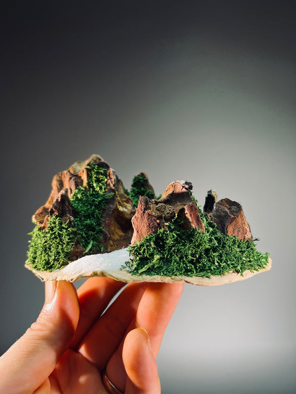 Angel's Landing - Valley of Winter - Smaller version (Preserved Plants)