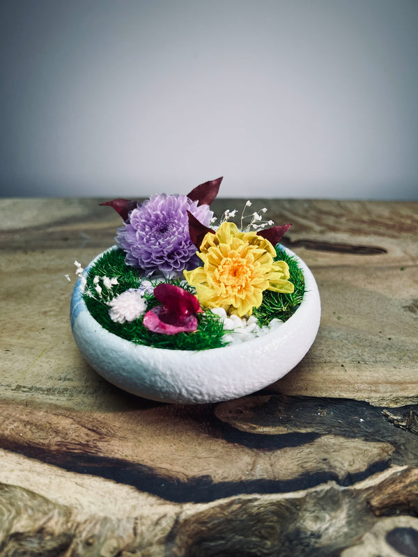 Children of the Forest - Tender (Preserved Plants)