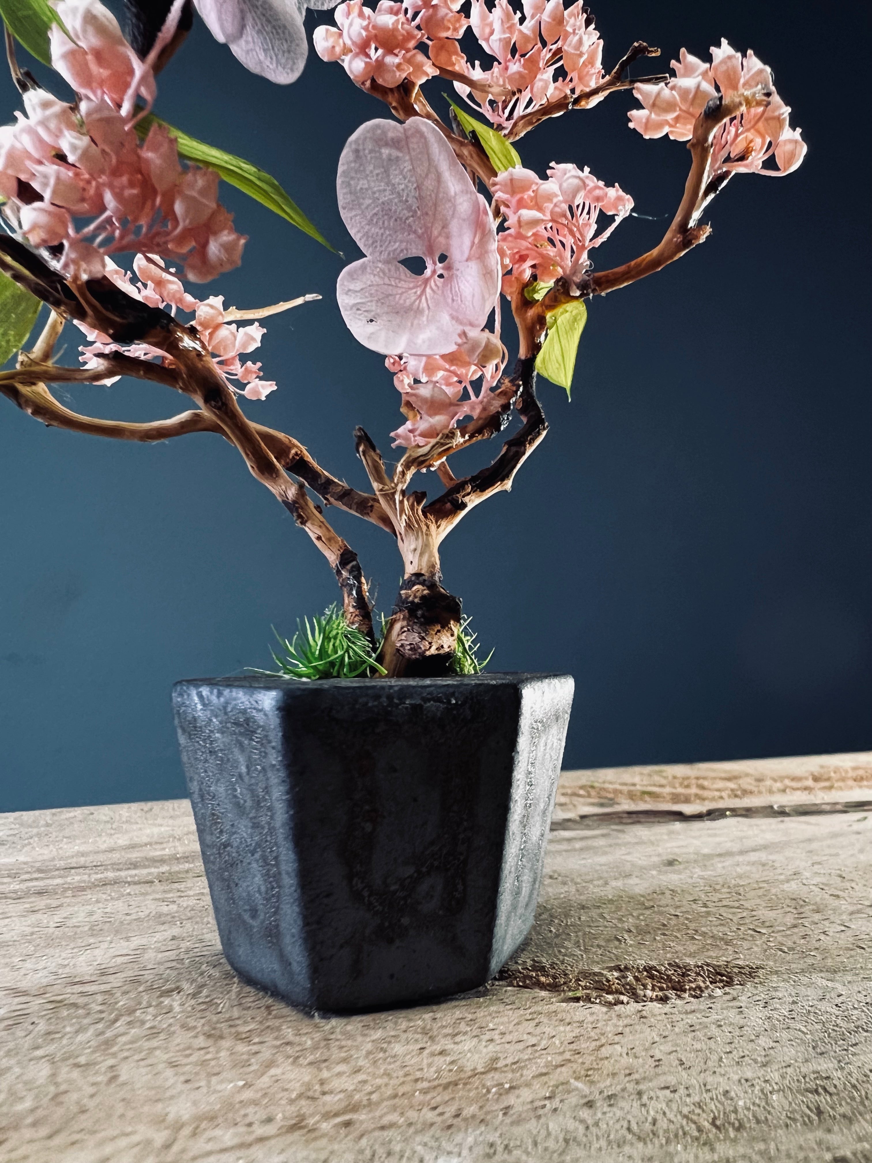 A Small Tree in the East - Cherry in Wait - Cast Iron edition (Preserved Plants)