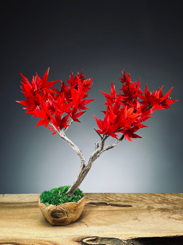 Theatre of Autumn - Flaming Maple - Smaller version (Preserved Plants)