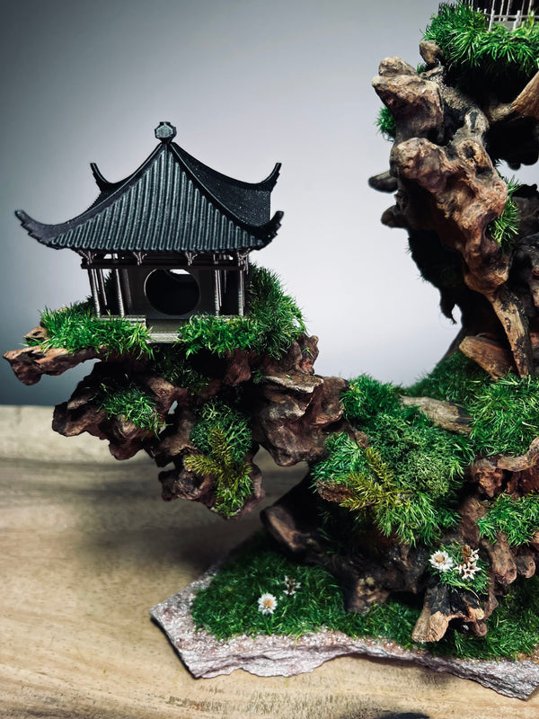 Blackwood Cliff (Preserved Plants)