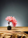 A Small Tree in the East - Sakura (Preserved Plants)