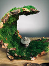 Half-Moon Bay - Crescent - Lantern in the Night (Preserved Plants)