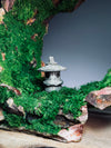 Half-Moon Bay - Crescent - Lantern in the Night (Preserved Plants)