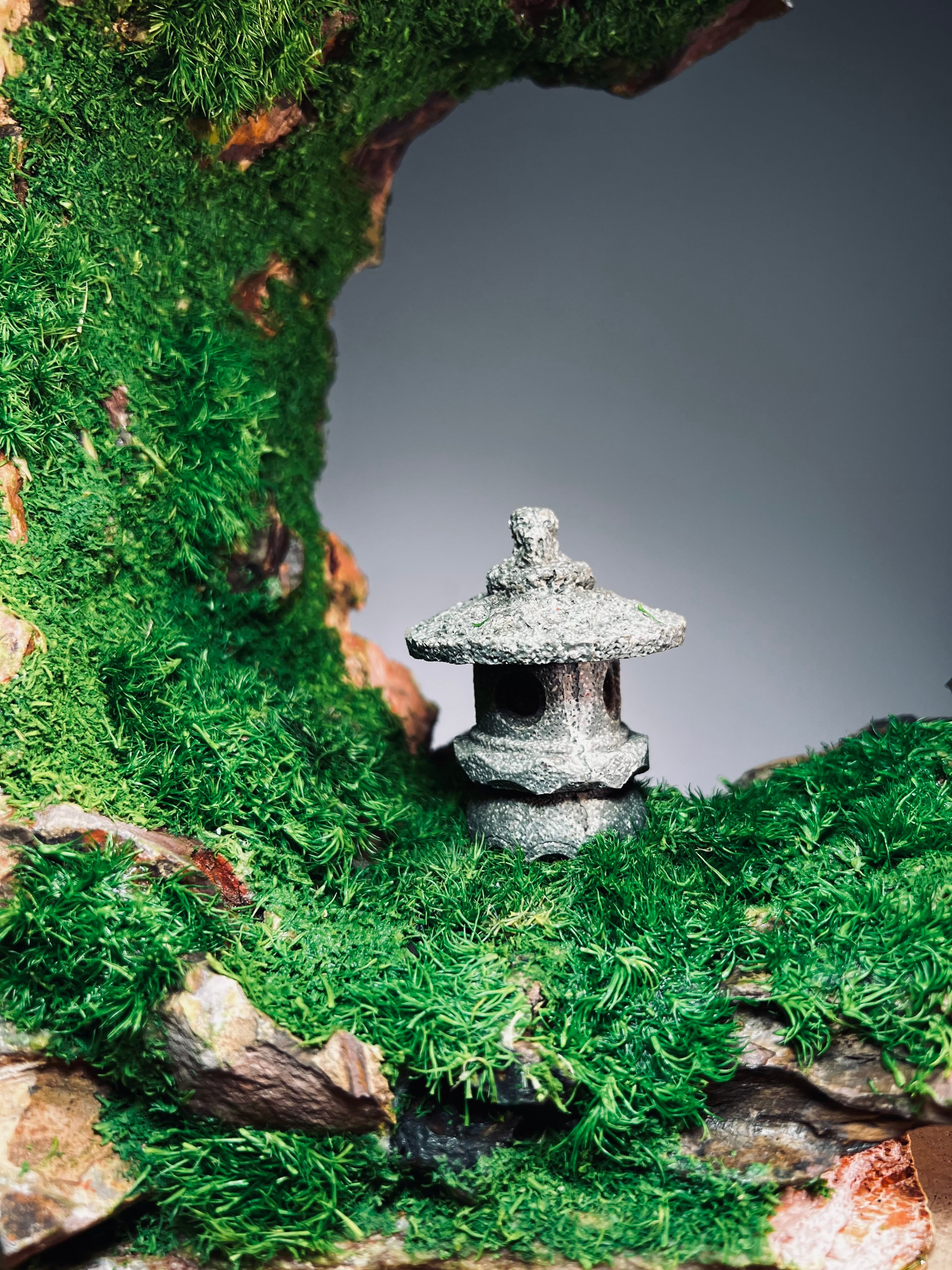 Half-Moon Bay - Crescent - Lantern in the Night (Preserved Plants)