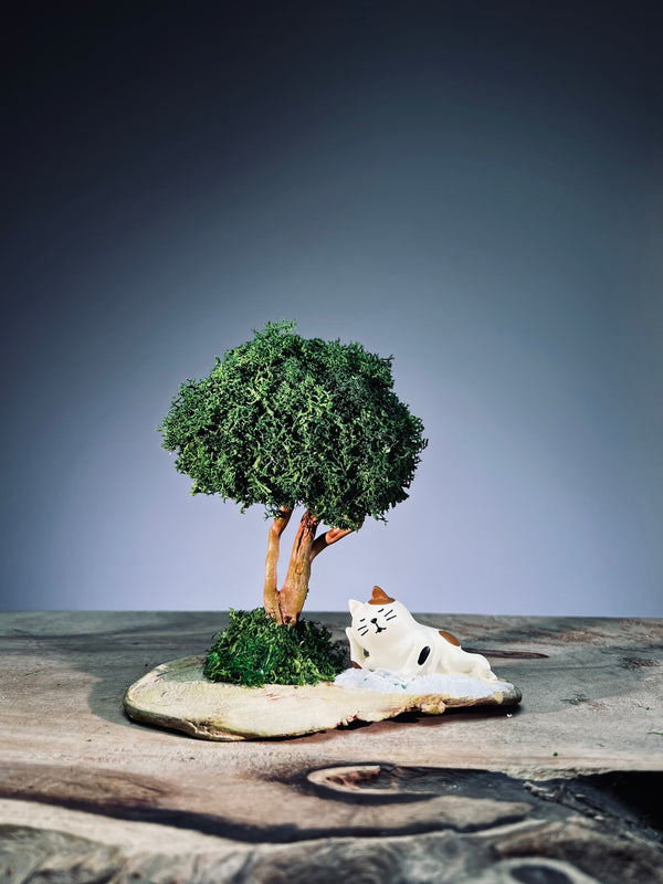A Small Tree in the East - Morning in the Park (Preserved Plants)