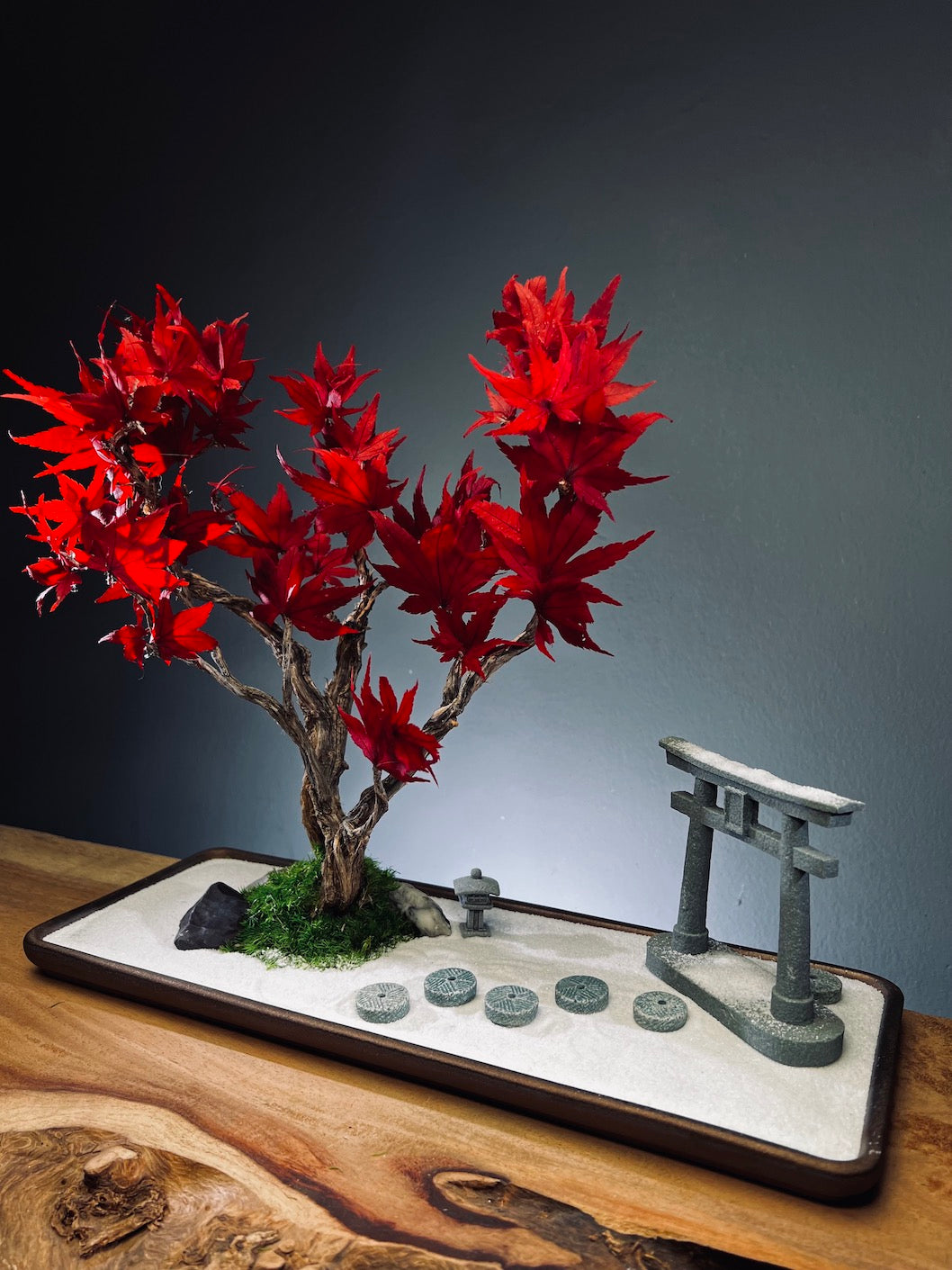 Theatre of Autumn - Flaming Maple (Preserved Plants)