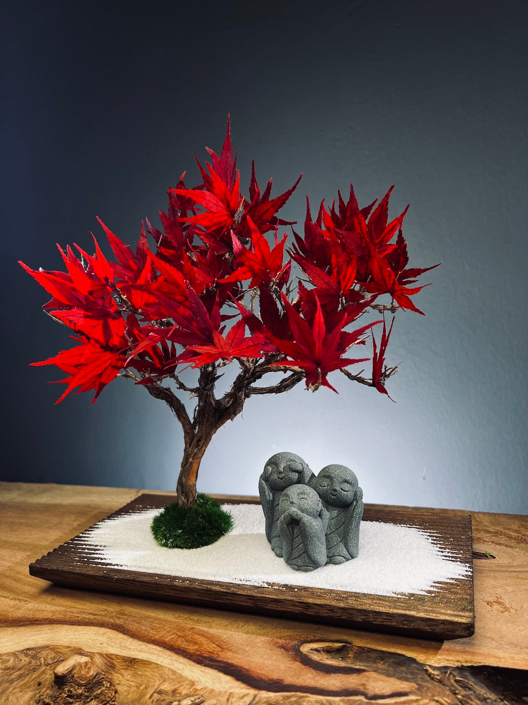 Theatre of Autumn - Flaming Maple - Smaller version (Preserved Plants)