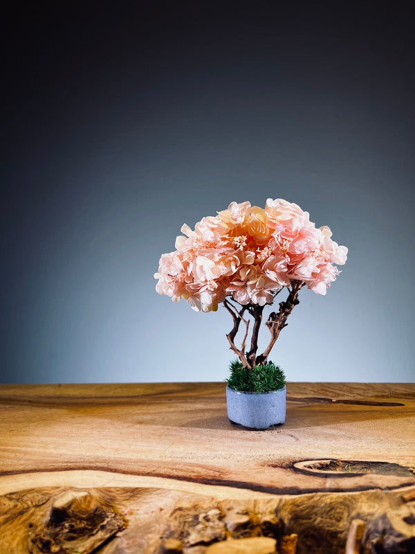 A Small Tree in the East - Sakura - Baby Pink (Preserved Plants)