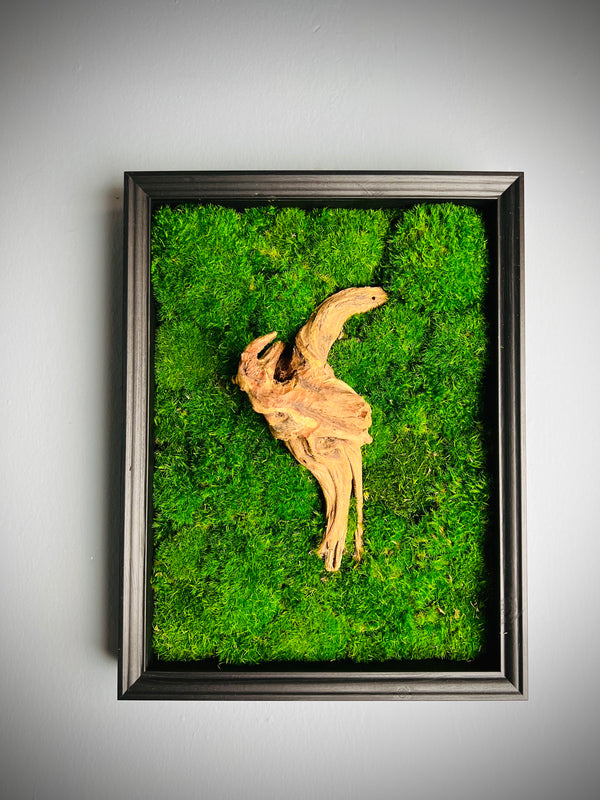 Reflection - Wall Hanging edition (Preserved Plants)