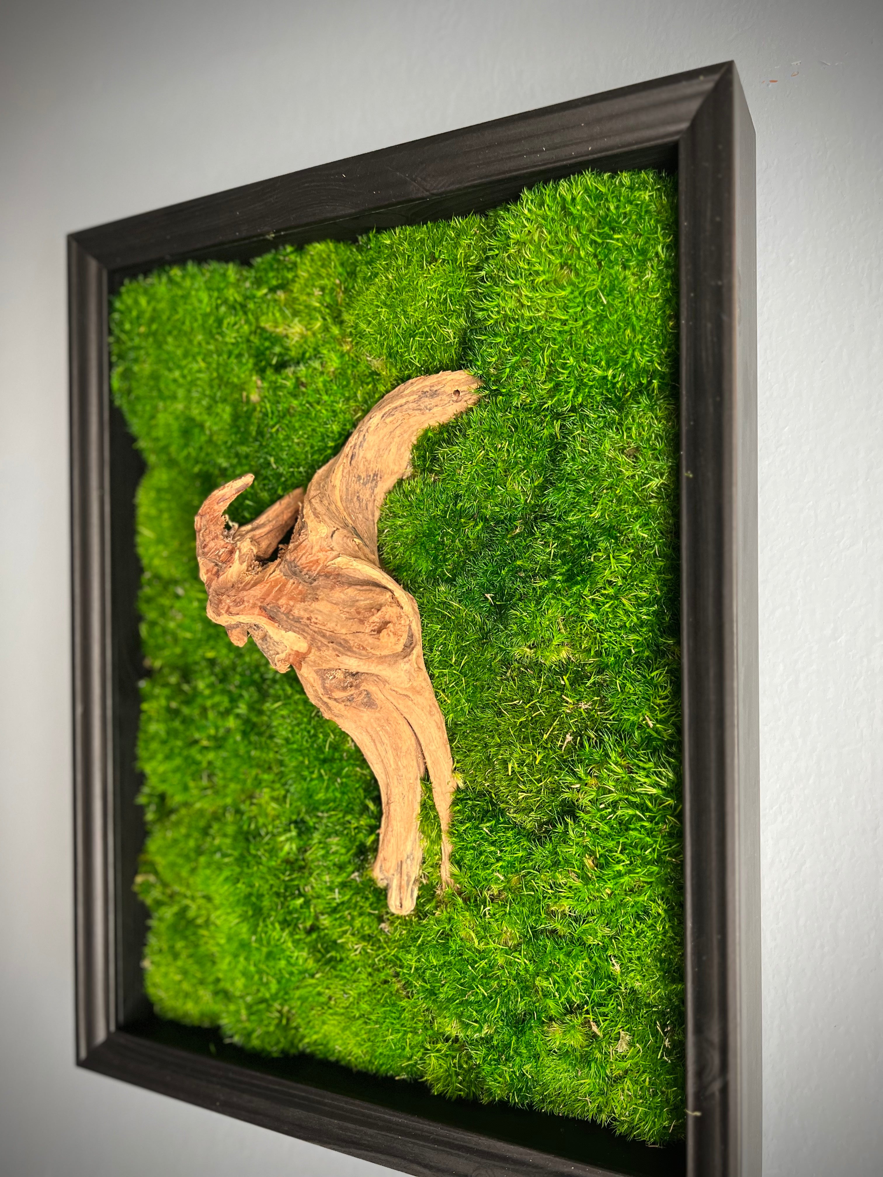 Reflection - Wall Hanging edition (Preserved Plants)